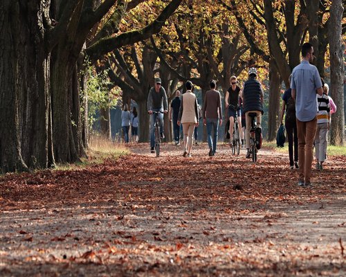 A quiet park scene with people relaxing on a weekend